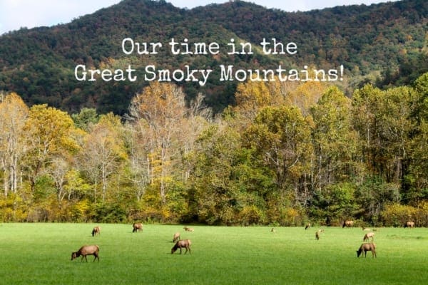 Great-Smoky-Mountains-Family-Fun
