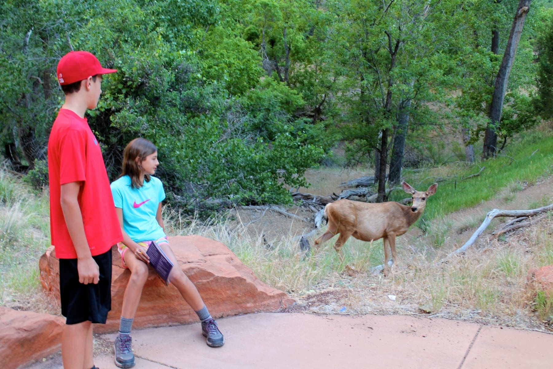 Family Hikes in Zion National Park