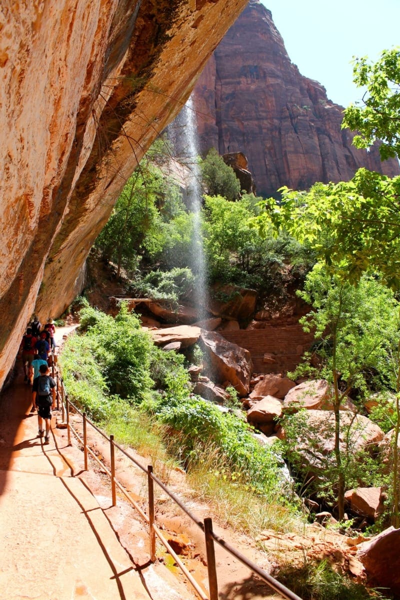 Family Hikes in Zion National Park